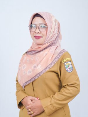 Nova Deslina